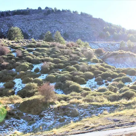 Sulayr